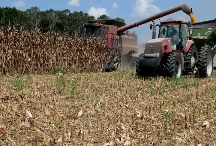 Falling commodity prices made 2024 a tough year for farmers